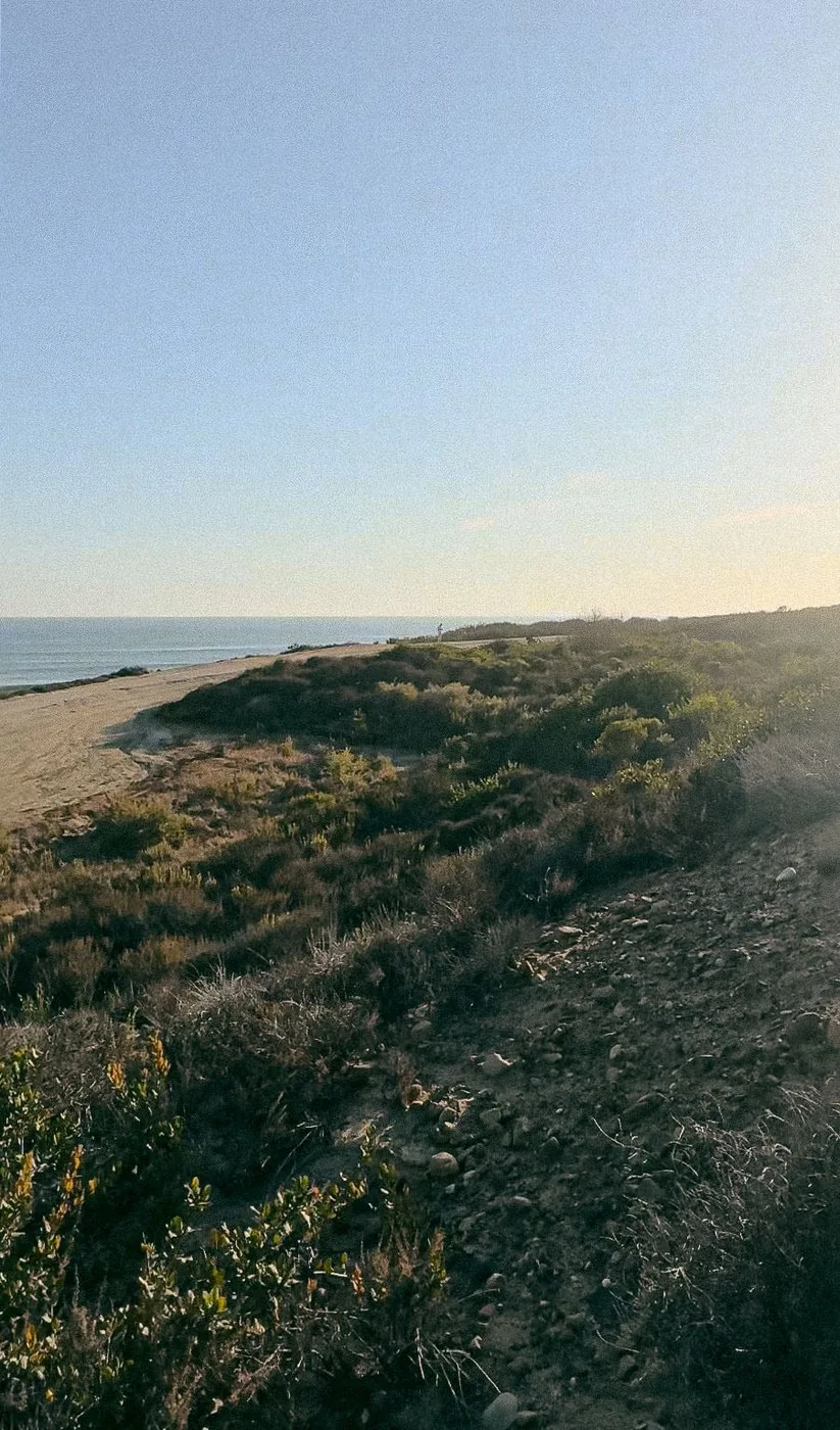 The view down from the hiding place: the path, the bluff and the ocean