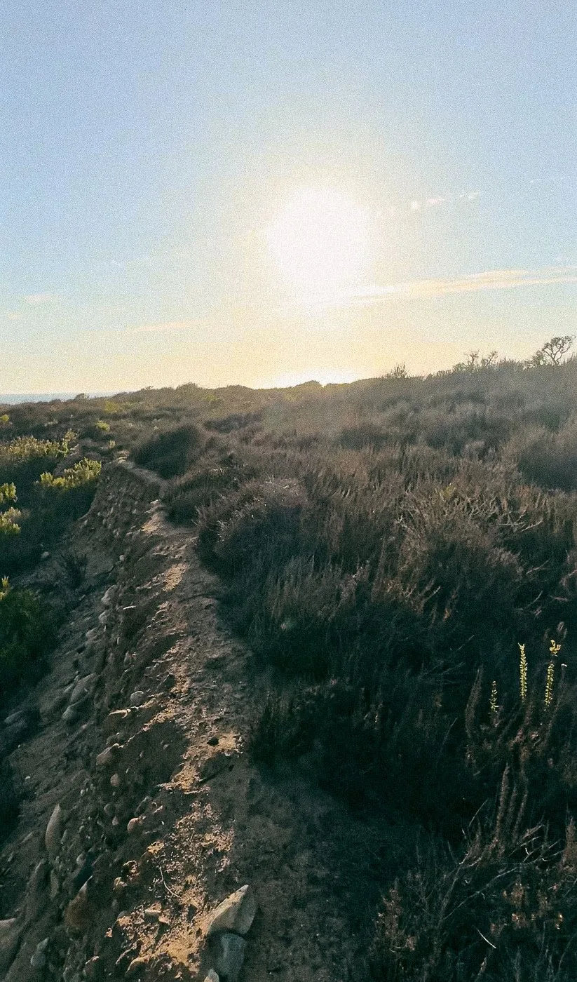 The way up through the brush