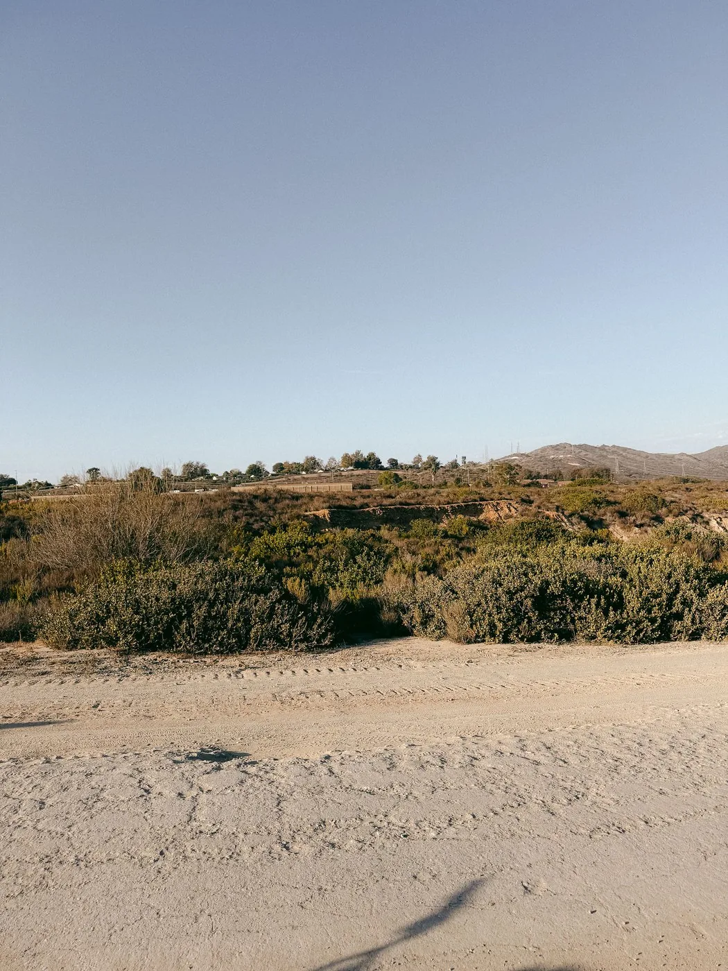 The dirt track and the bushes, from the level of the path