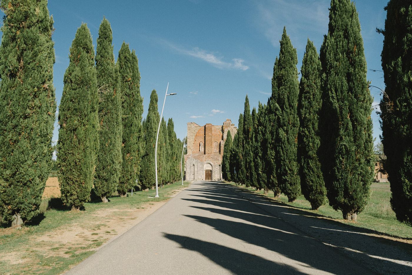 The cypress avenue to the abbey