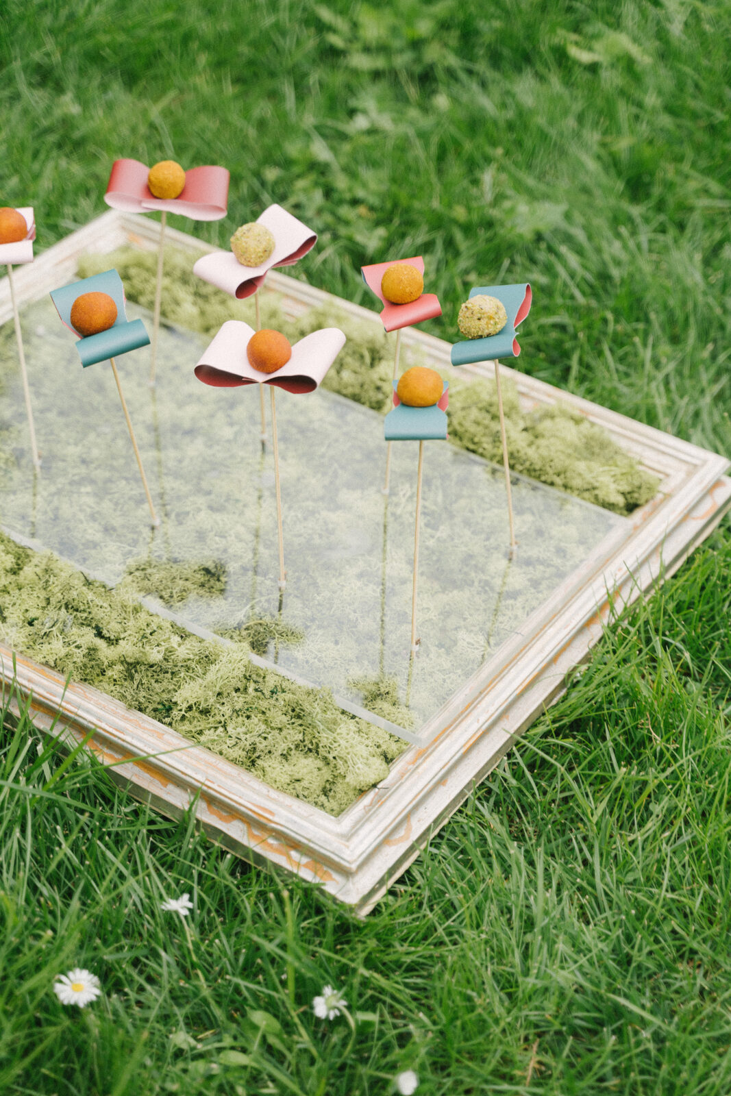 Served off moss
