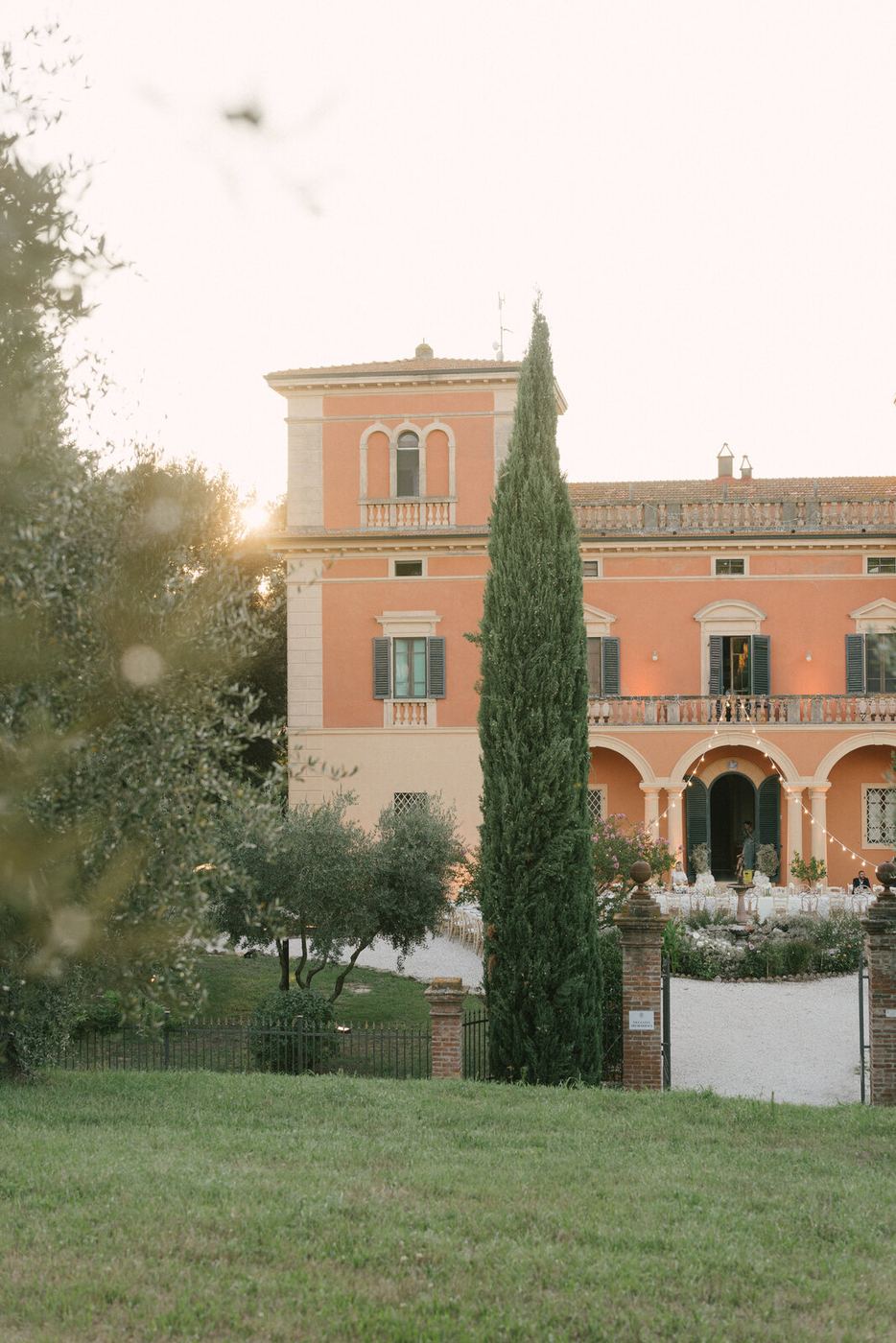 Cypresses, last light