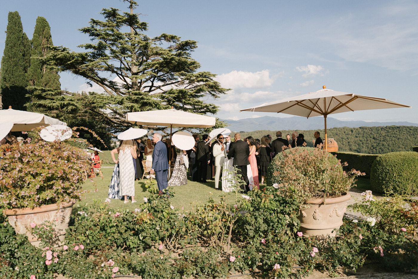 The garden, before dinner