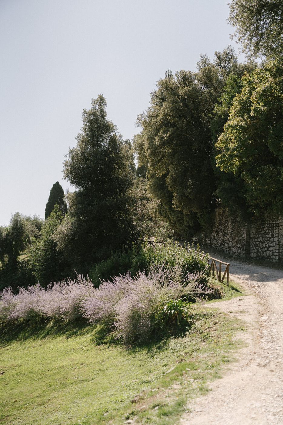 The cypress walk