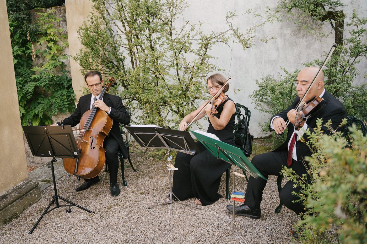 The quartet