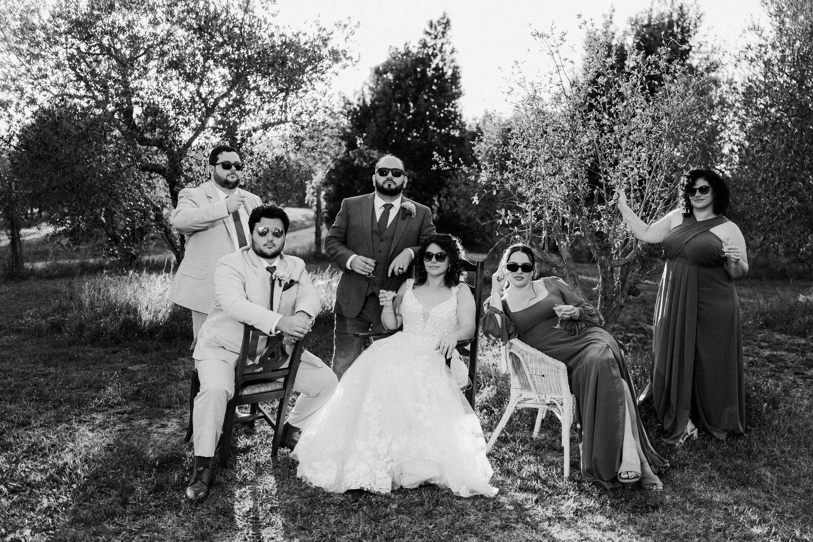 In the olive grove