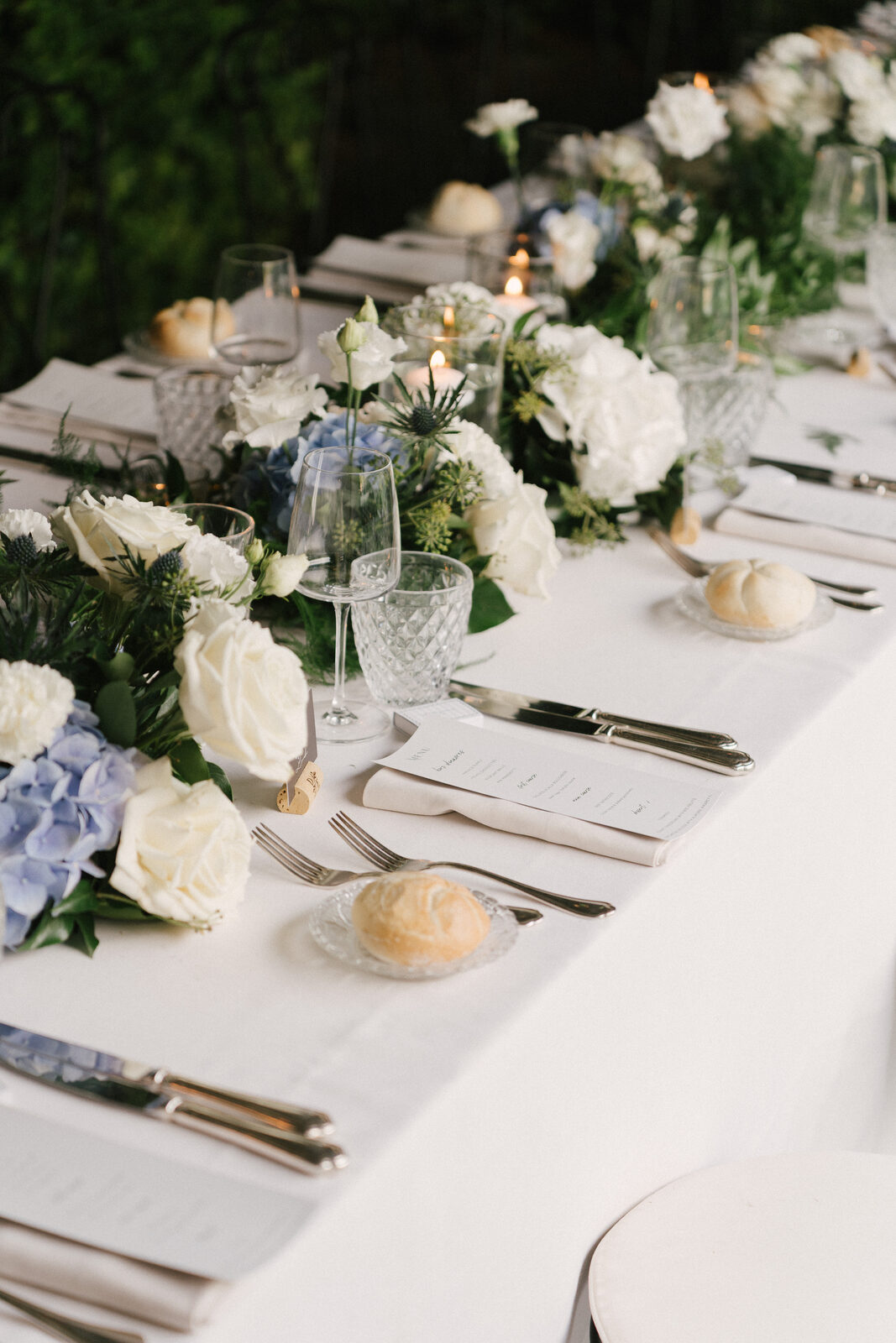 Hydrangeas, blue and white
