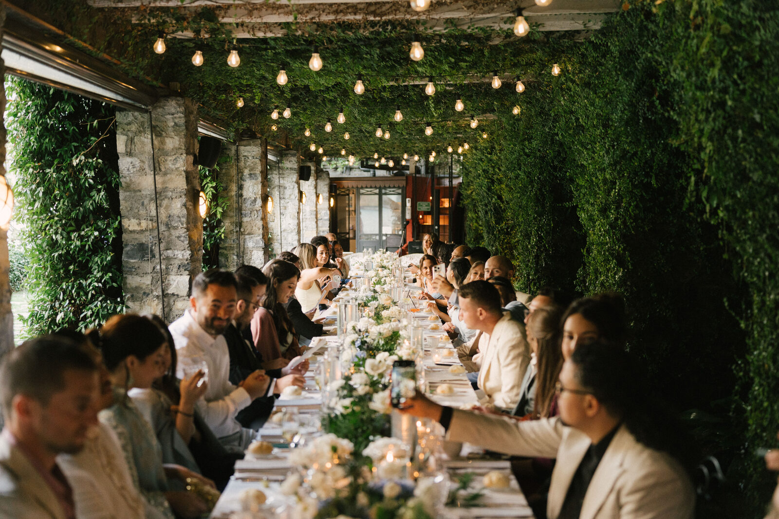 One table, under the green