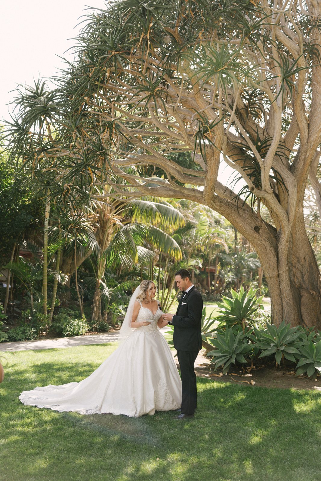 In the palms
