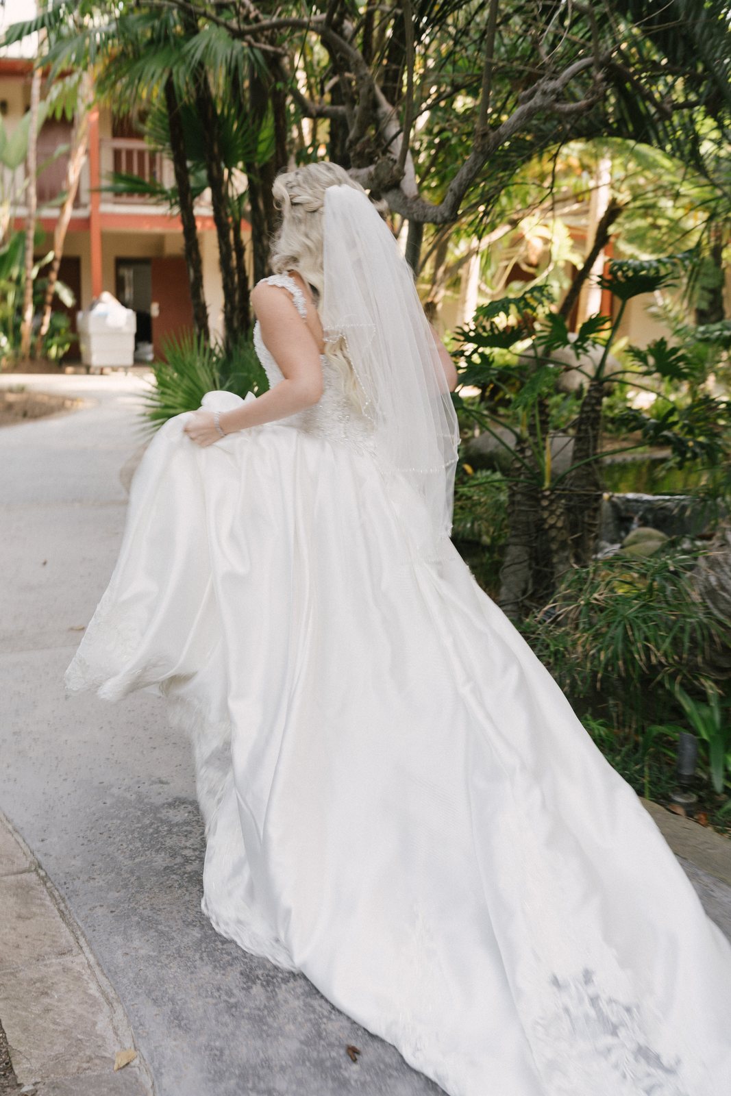 The dress, from behind