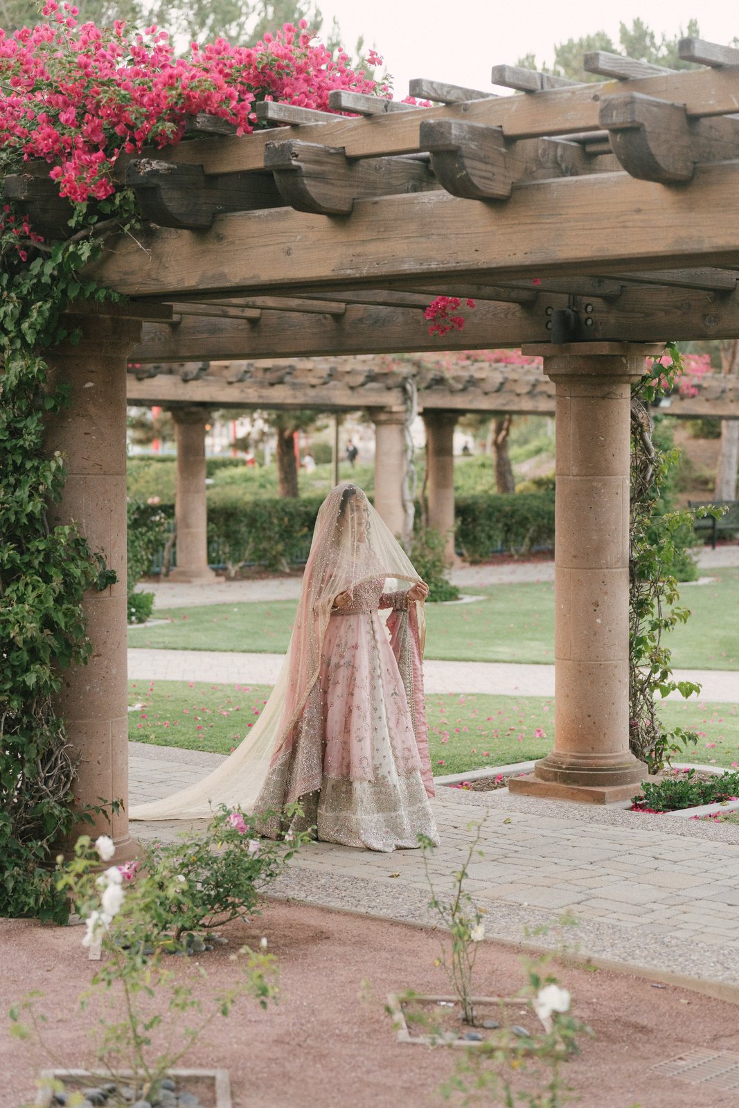 Bougainvillea over the columns