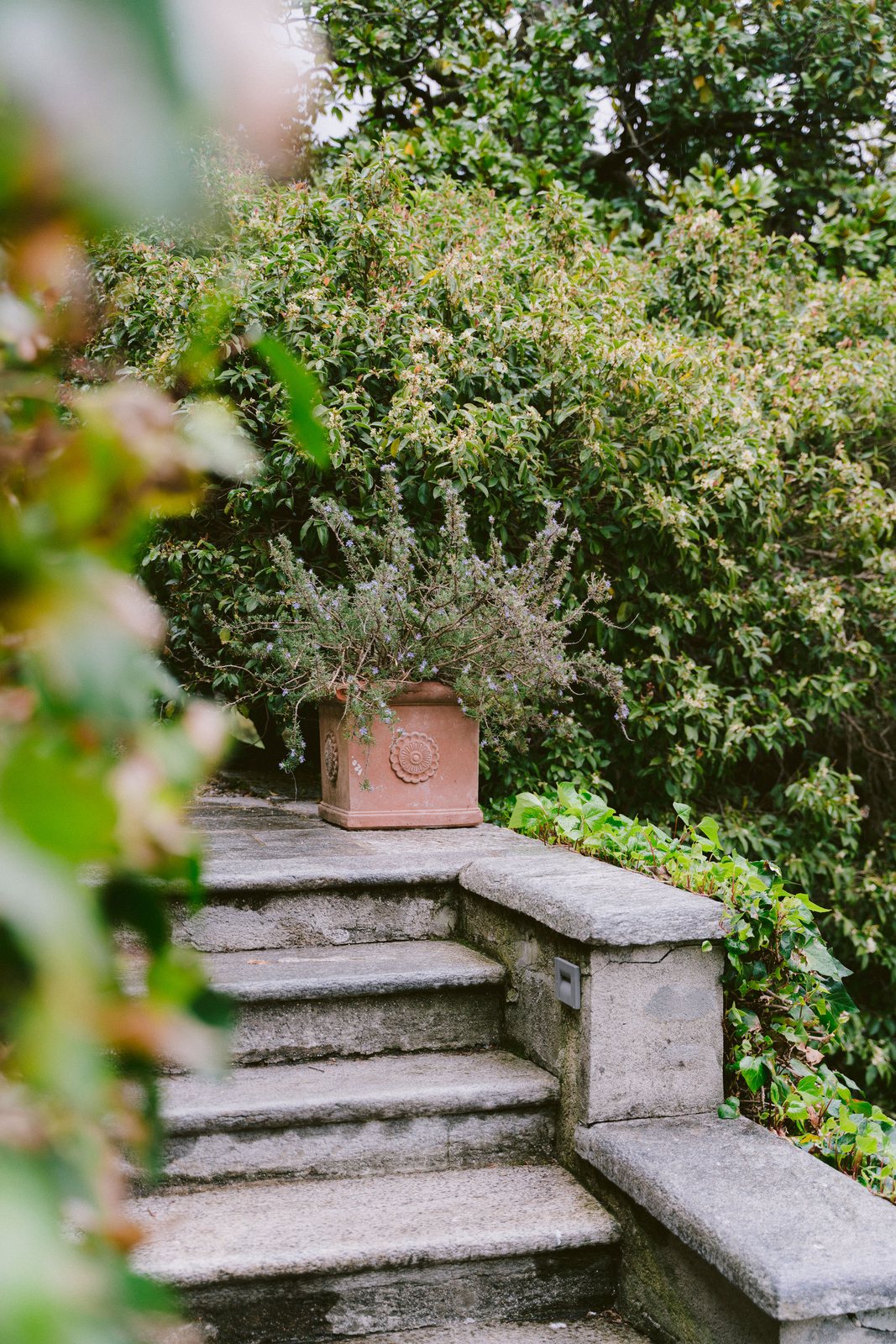 The garden steps