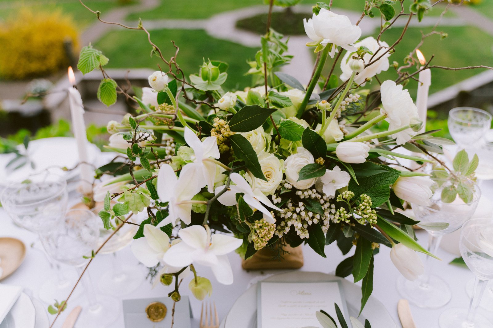 The flowers, close
