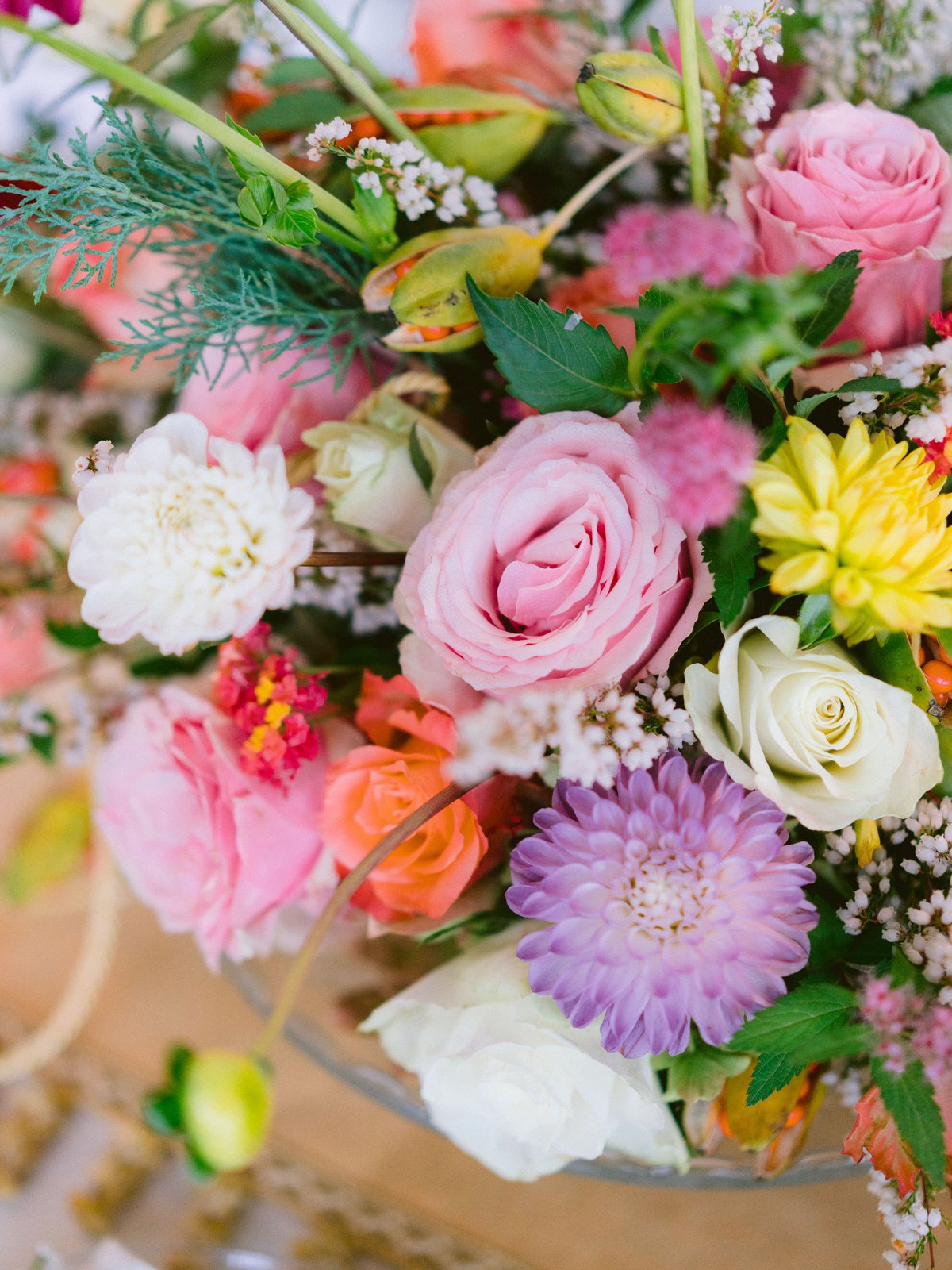 Marigold and coral