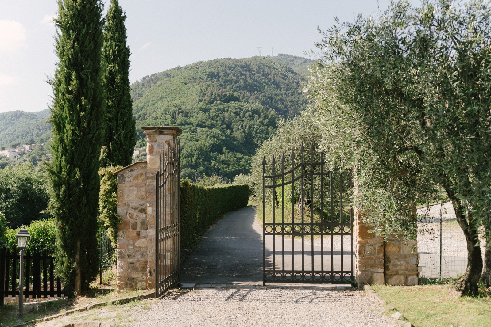 The gate