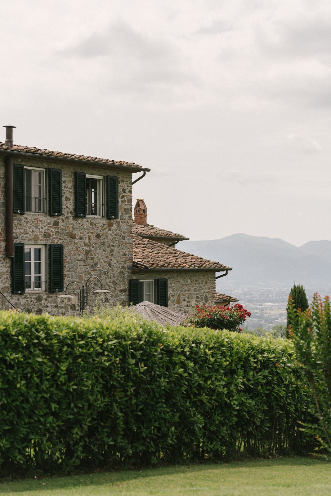 Above Lucca, in June
