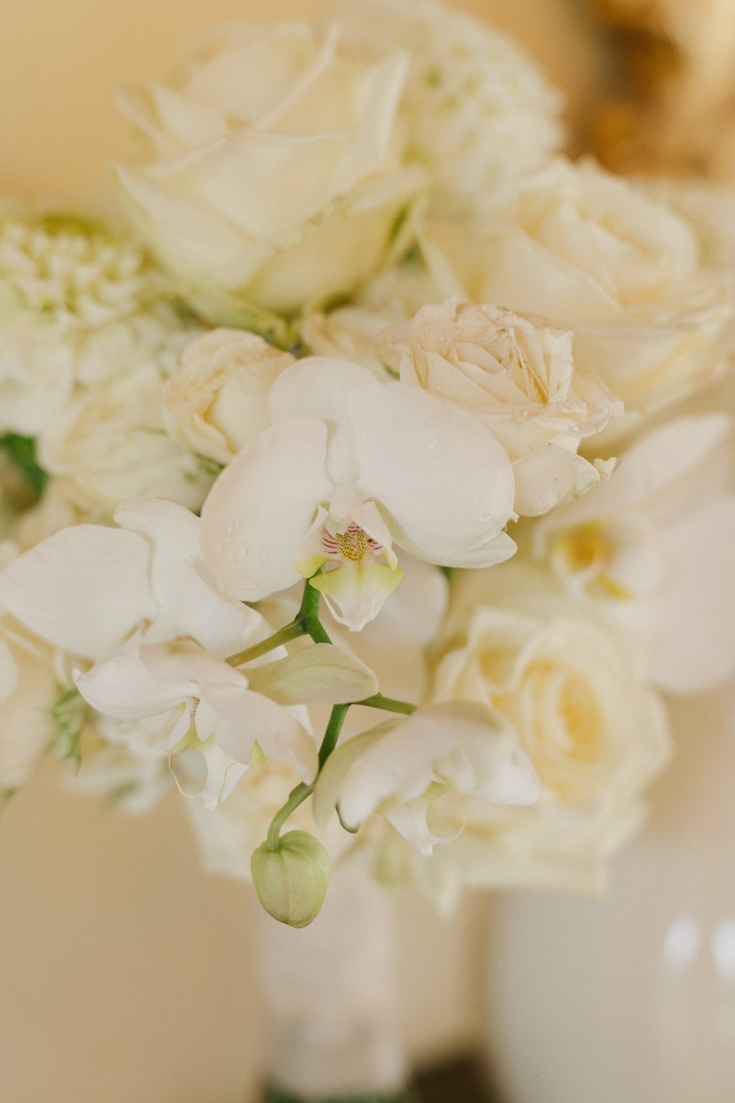 White, and more white