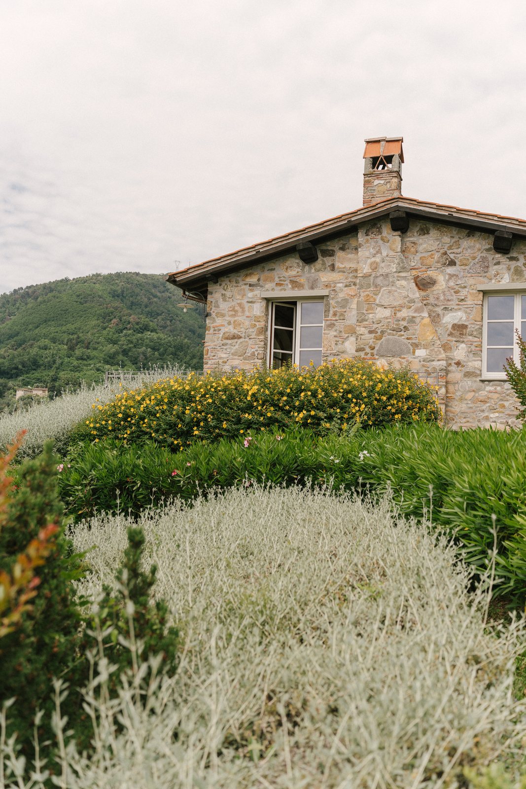 The casale, in the olives