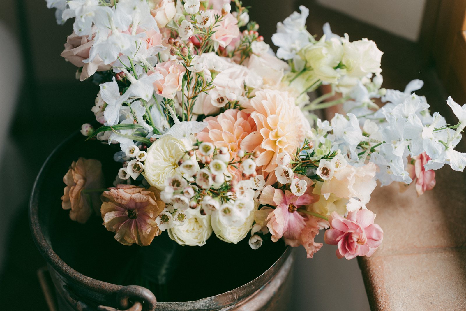 The flowers, close