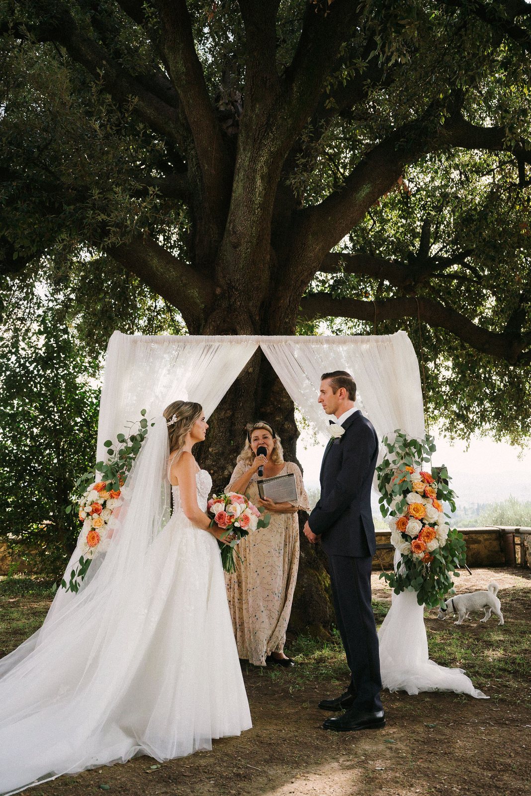 Under the oak
