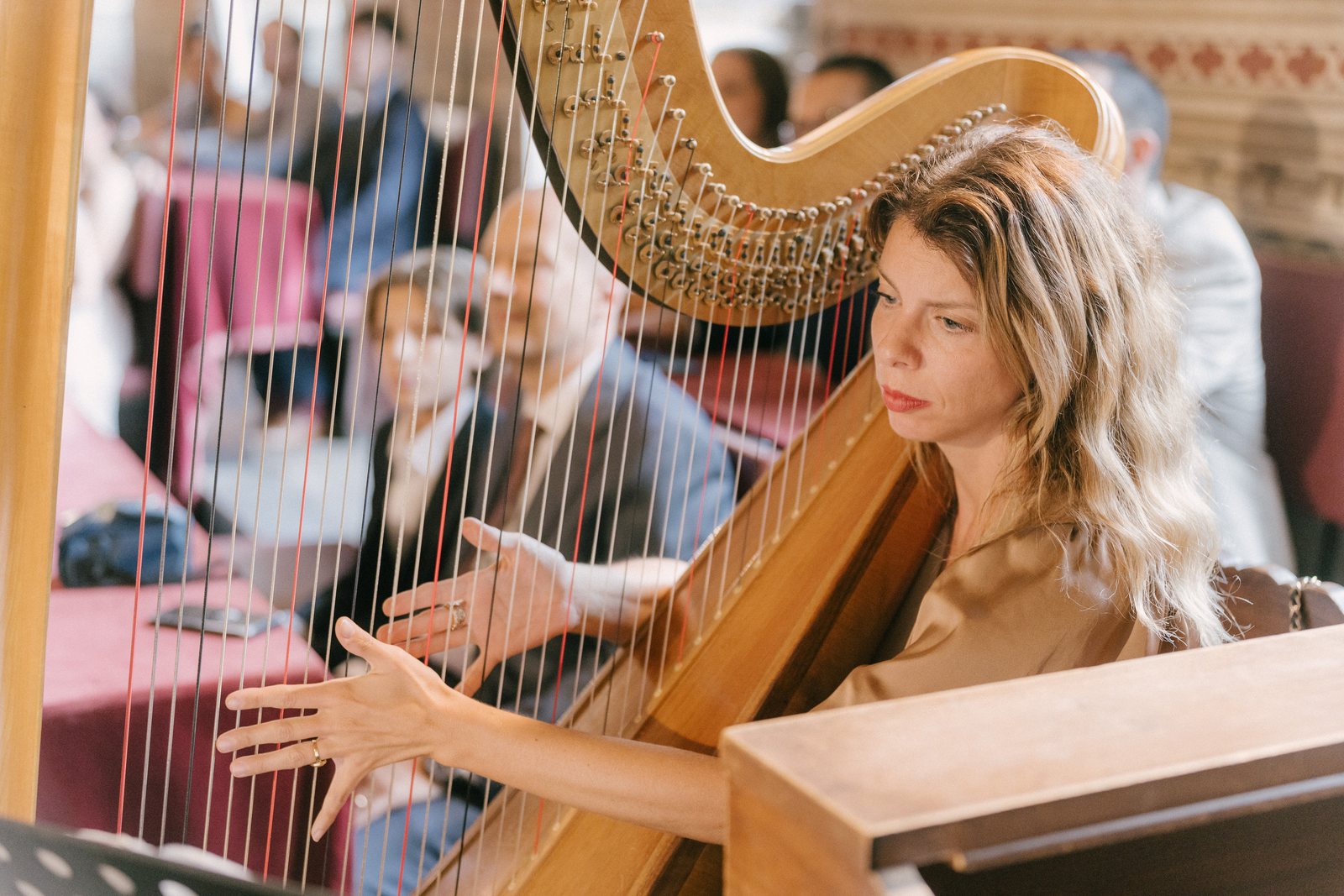 The harp