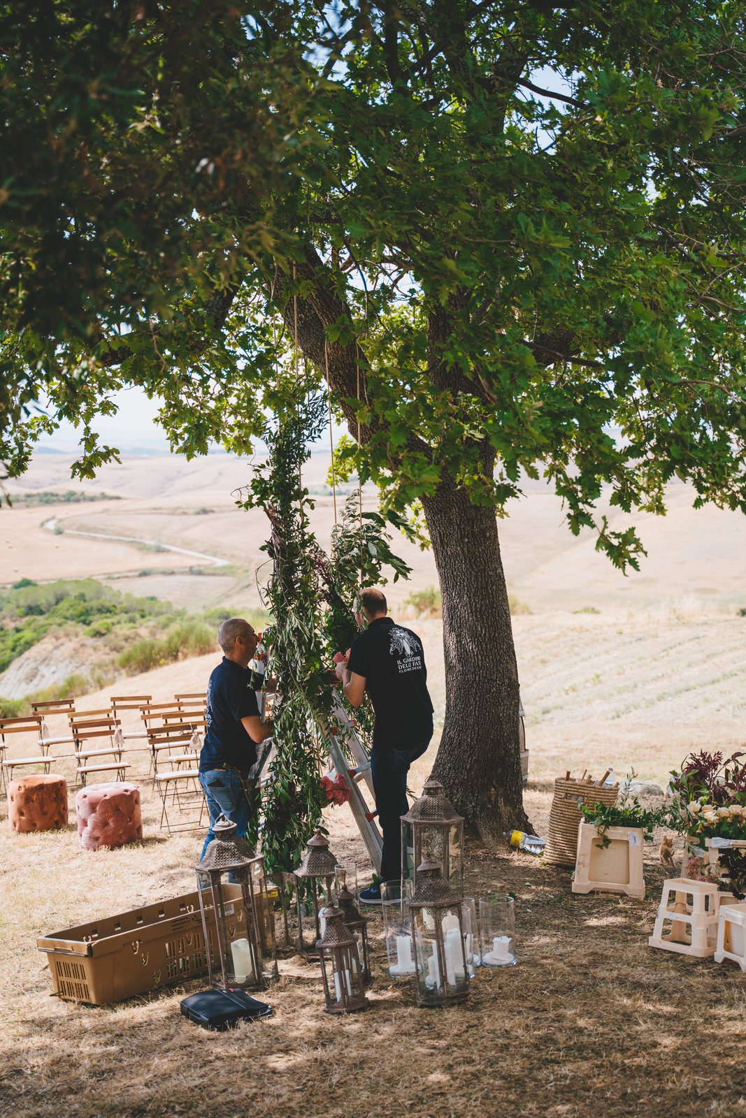 The oak, and the chairs under it