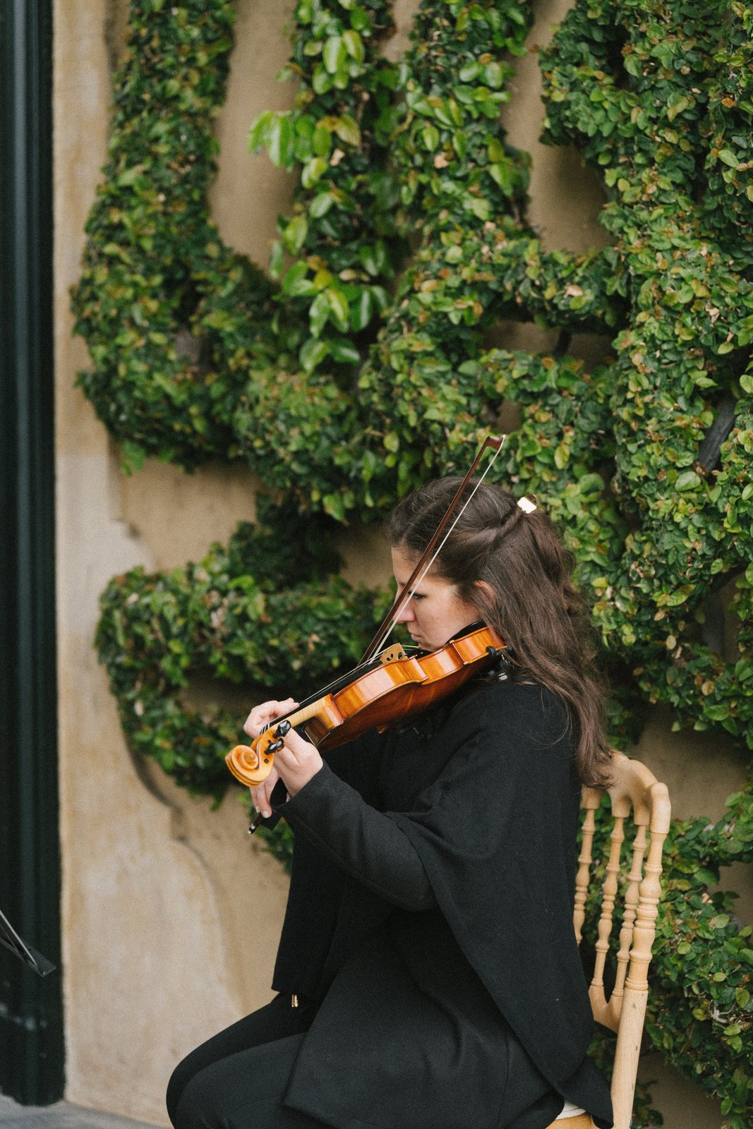 The violinist