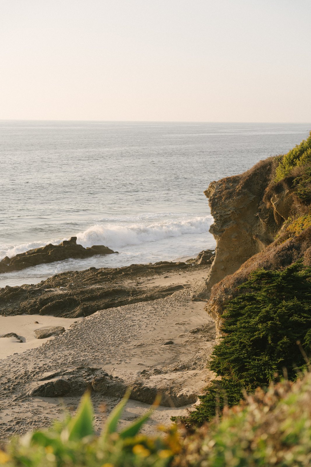 The cove