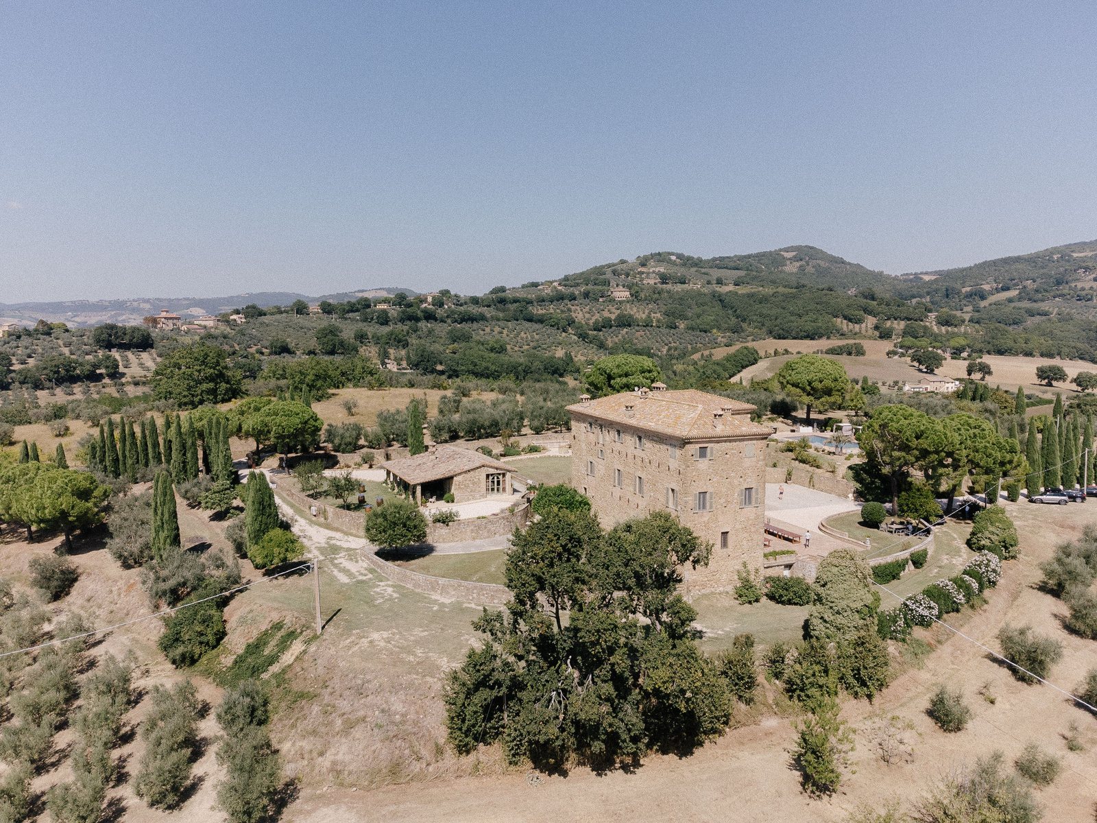 The olives, the next morning