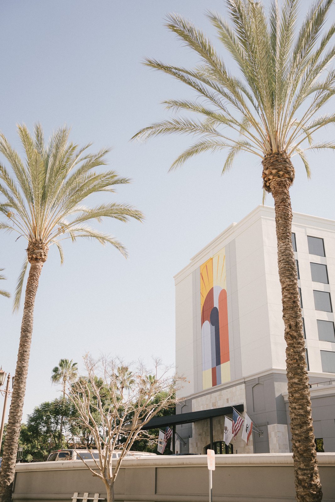 Palms, that morning