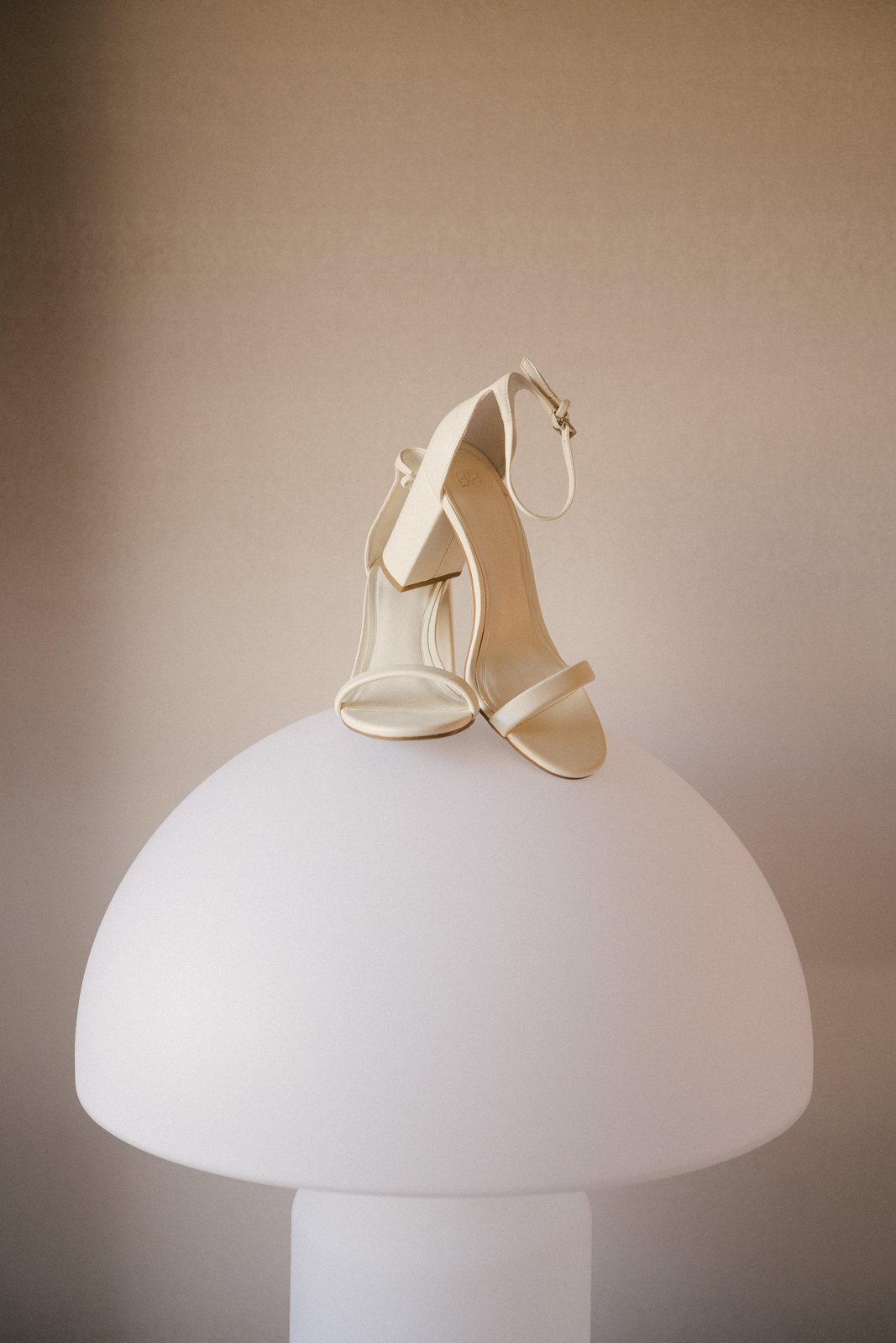 The shoe