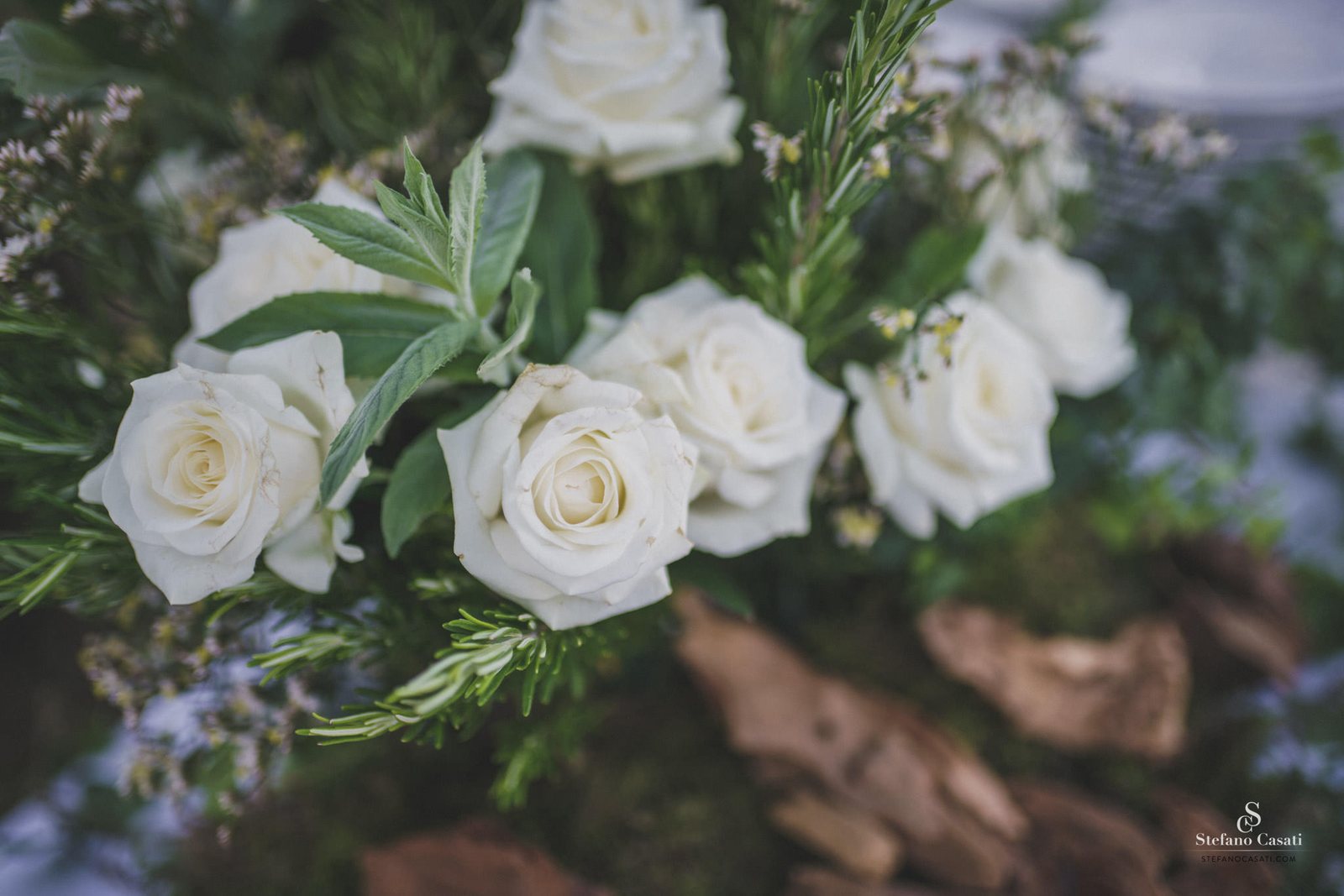 The flowers, close